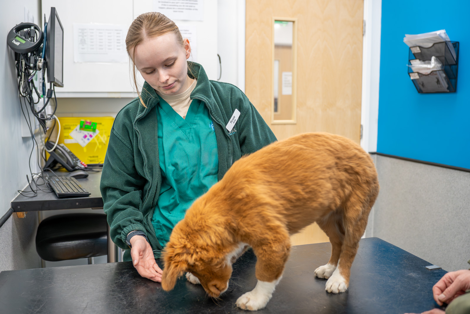 Arundell Veterinary Care (Web) 015