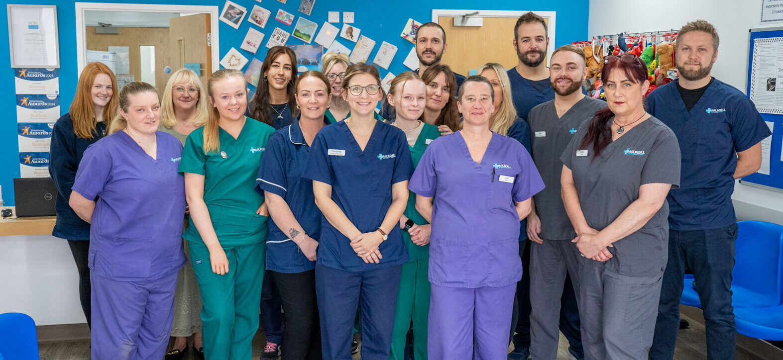 Arundell Veterinary Care (Web) 141