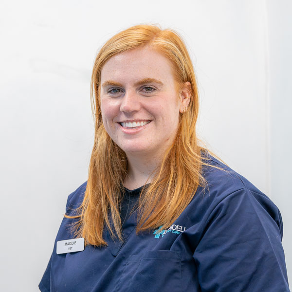 Maddie Ryan - AVC (Web)